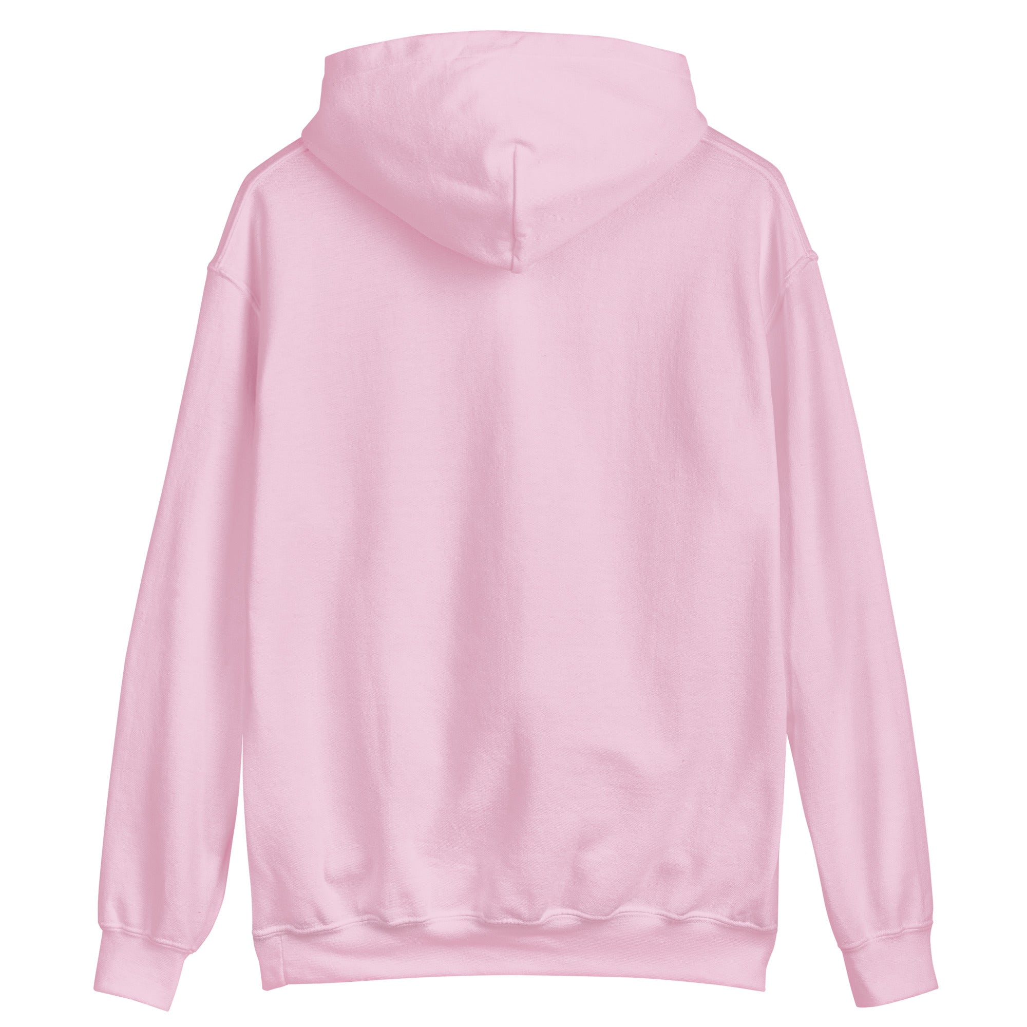 WeCoded 2023 Light Pink Hoodie Forem Shop