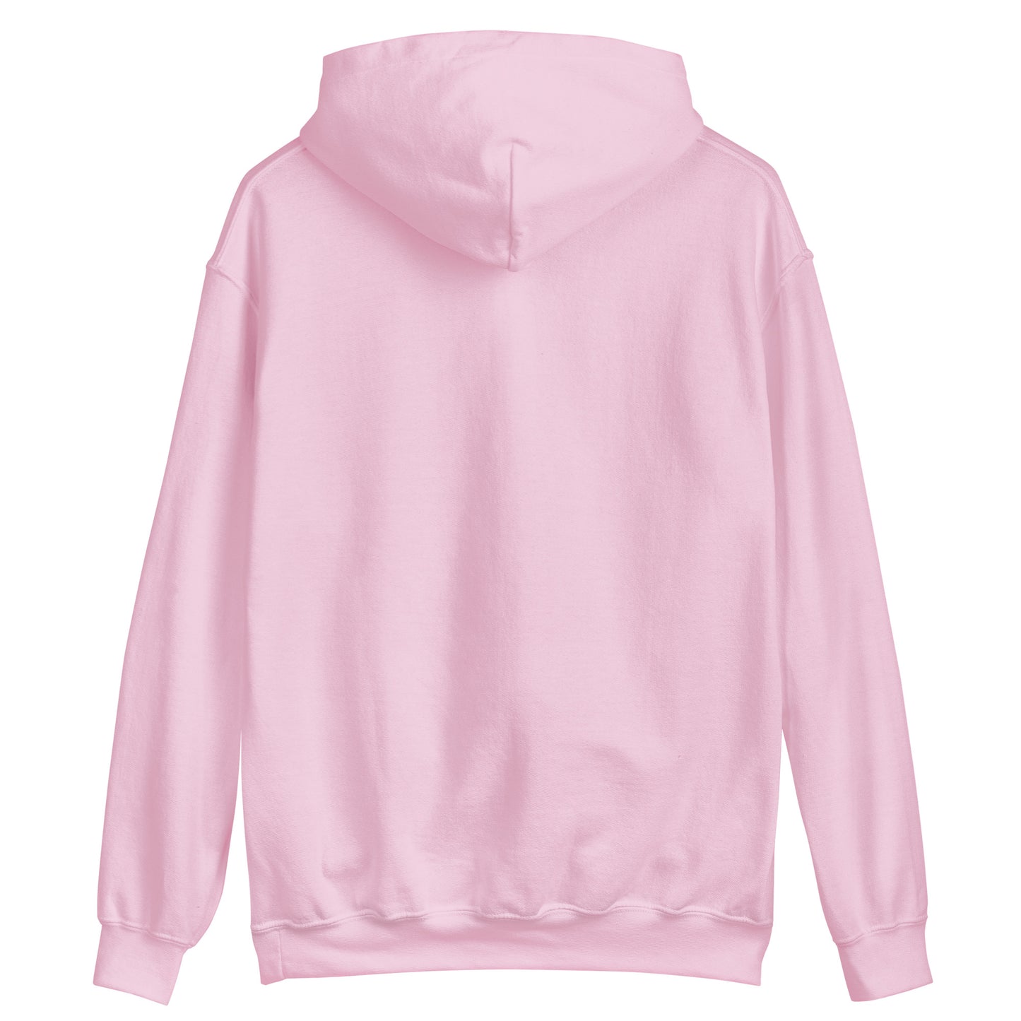WeCoded 2023 Light Pink Hoodie